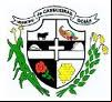 Brasão da cidade de Cabeceiras - GO