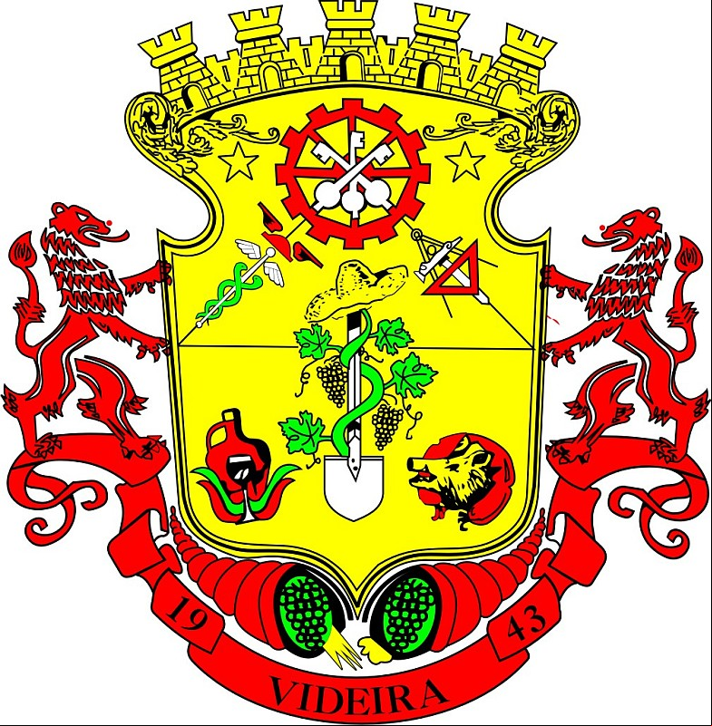 Cidade de VIDEIRA - SC 